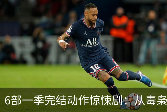 6部一季完结动作惊悚剧：从毒枭运货到卧底复仇，一晚刷完